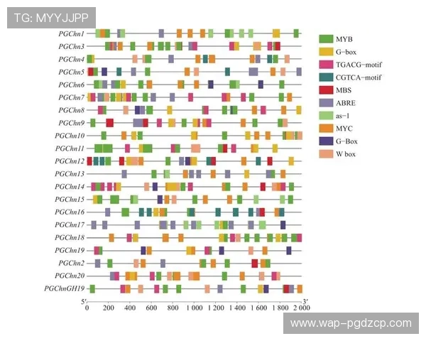 关于PG电子正规官网的合法性认证流程及其在行业中的权威认证情况深度解析