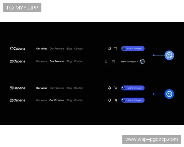 探索PG网站官网入口如何帮助用户稳定赚取收益的实用方法